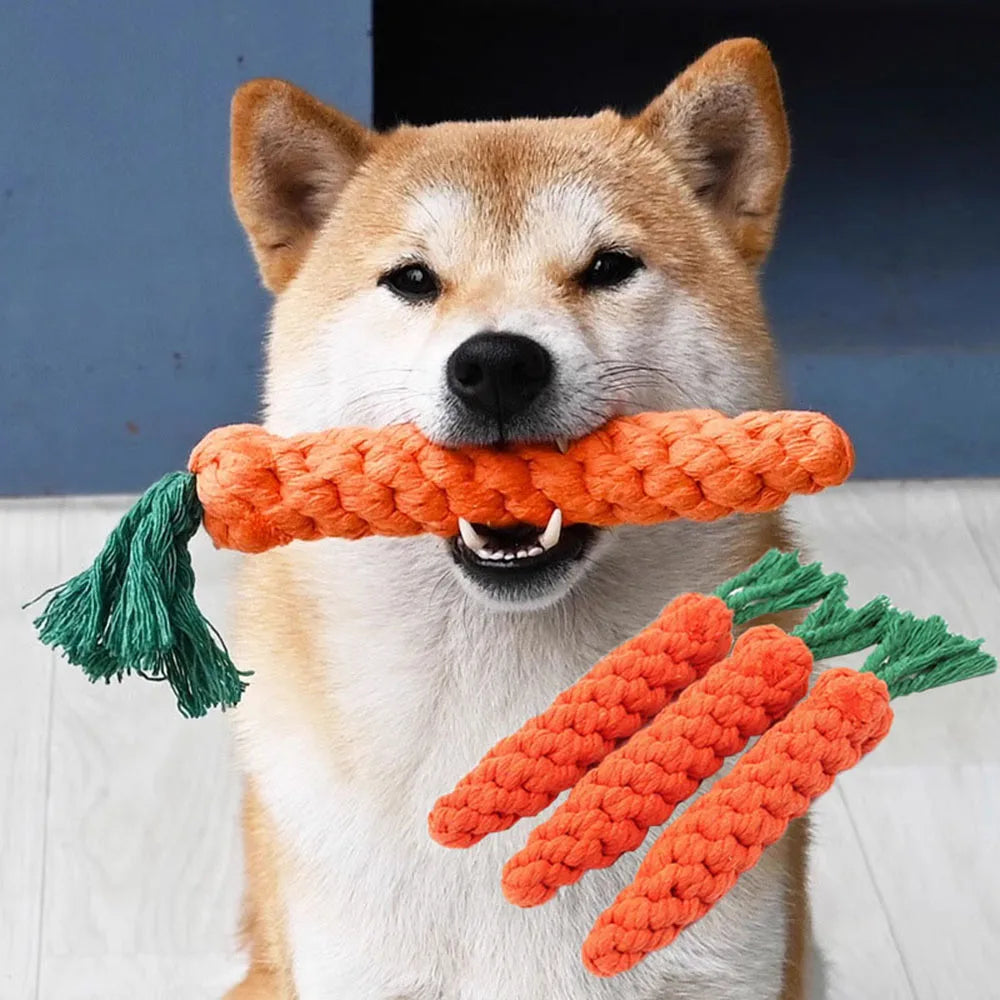 SleepyTail™ Rope Toy - Carrot