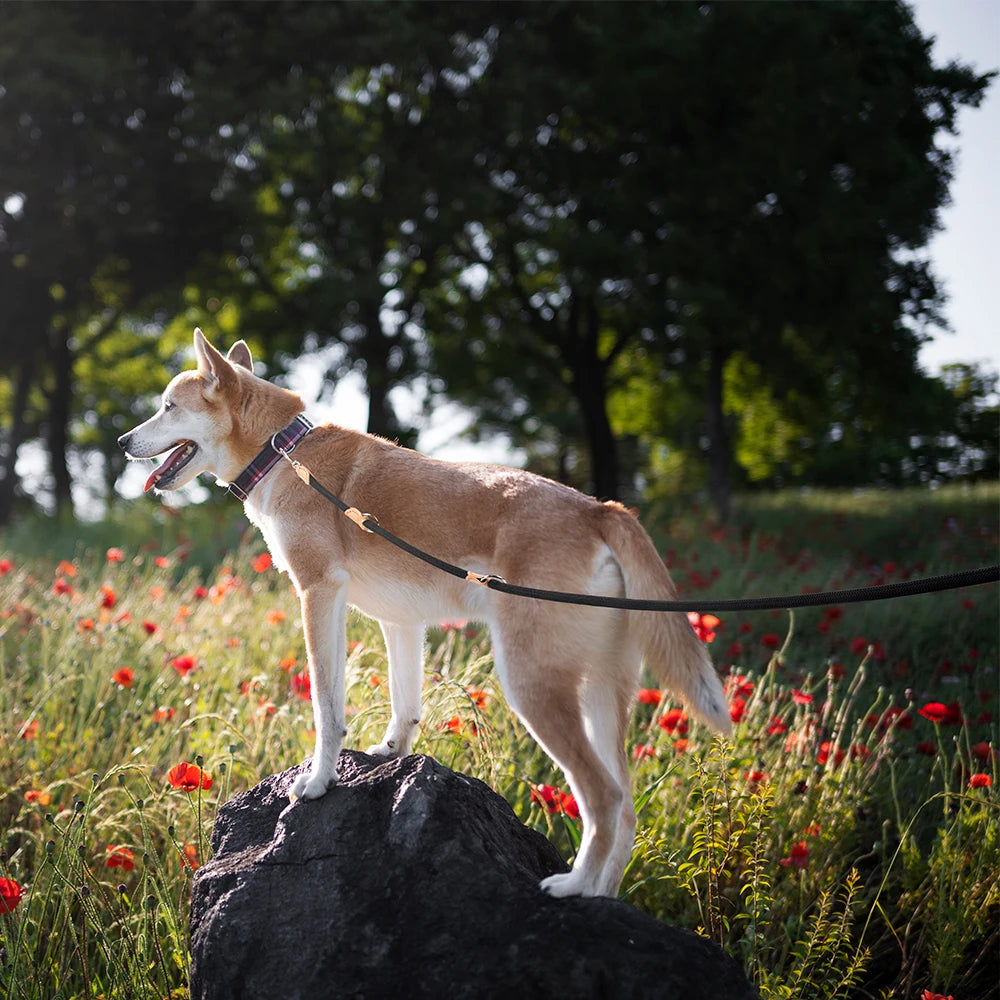 SleepyTail™ Rope Lead- With Clasp