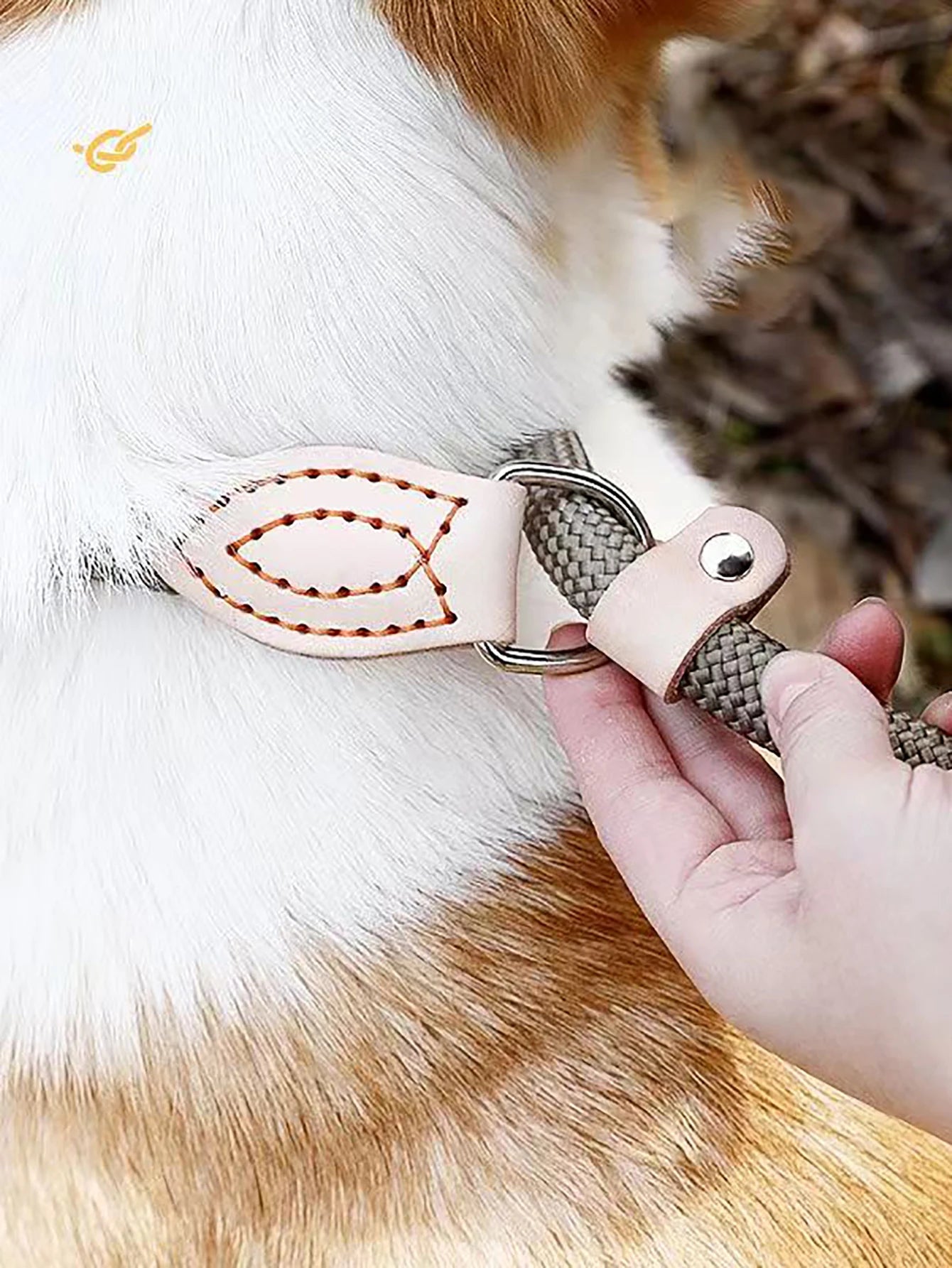 SleepyTail™ Rope Training Lead - Slip on