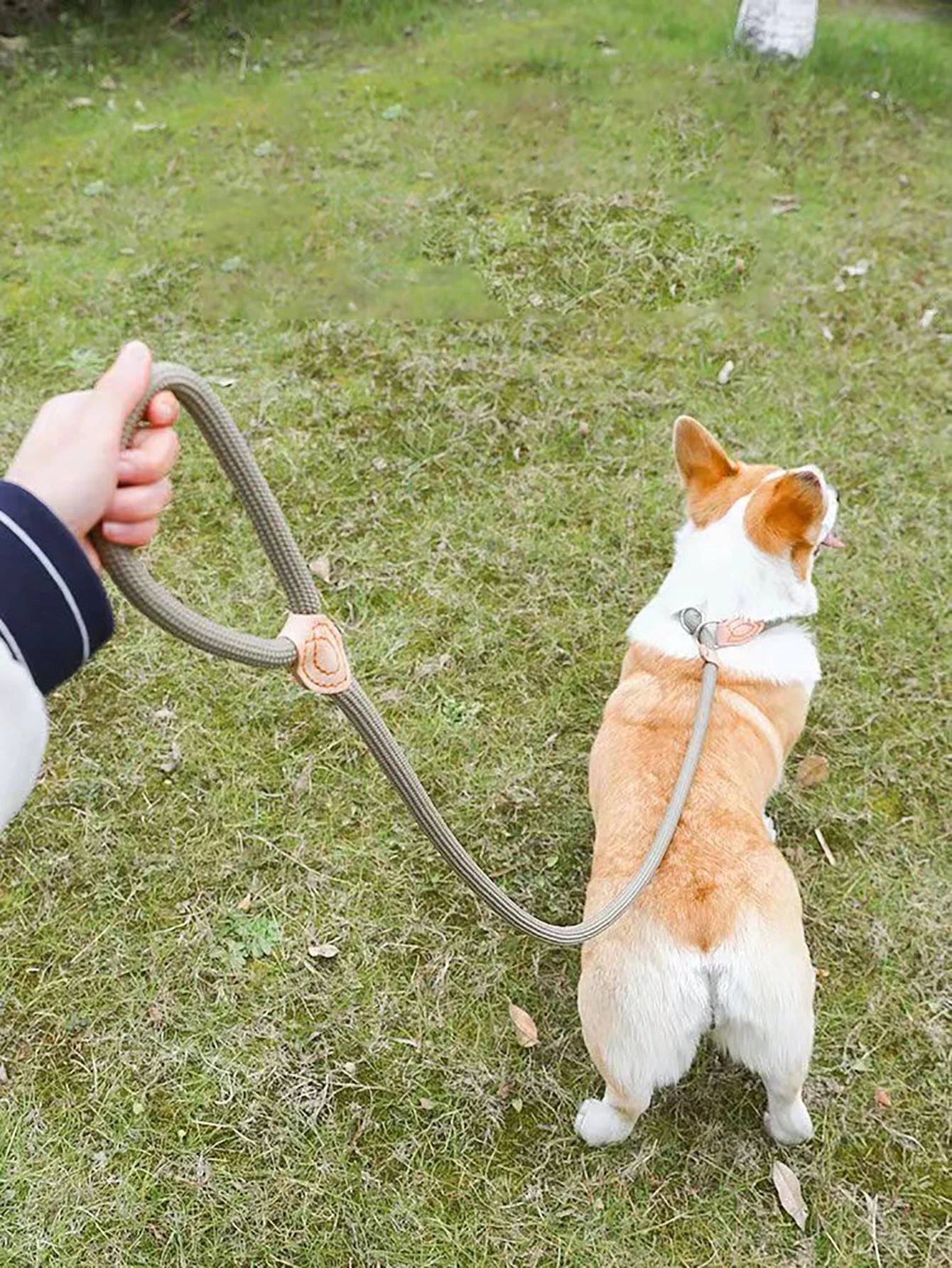 SleepyTail™ Rope Training Lead - Slip on