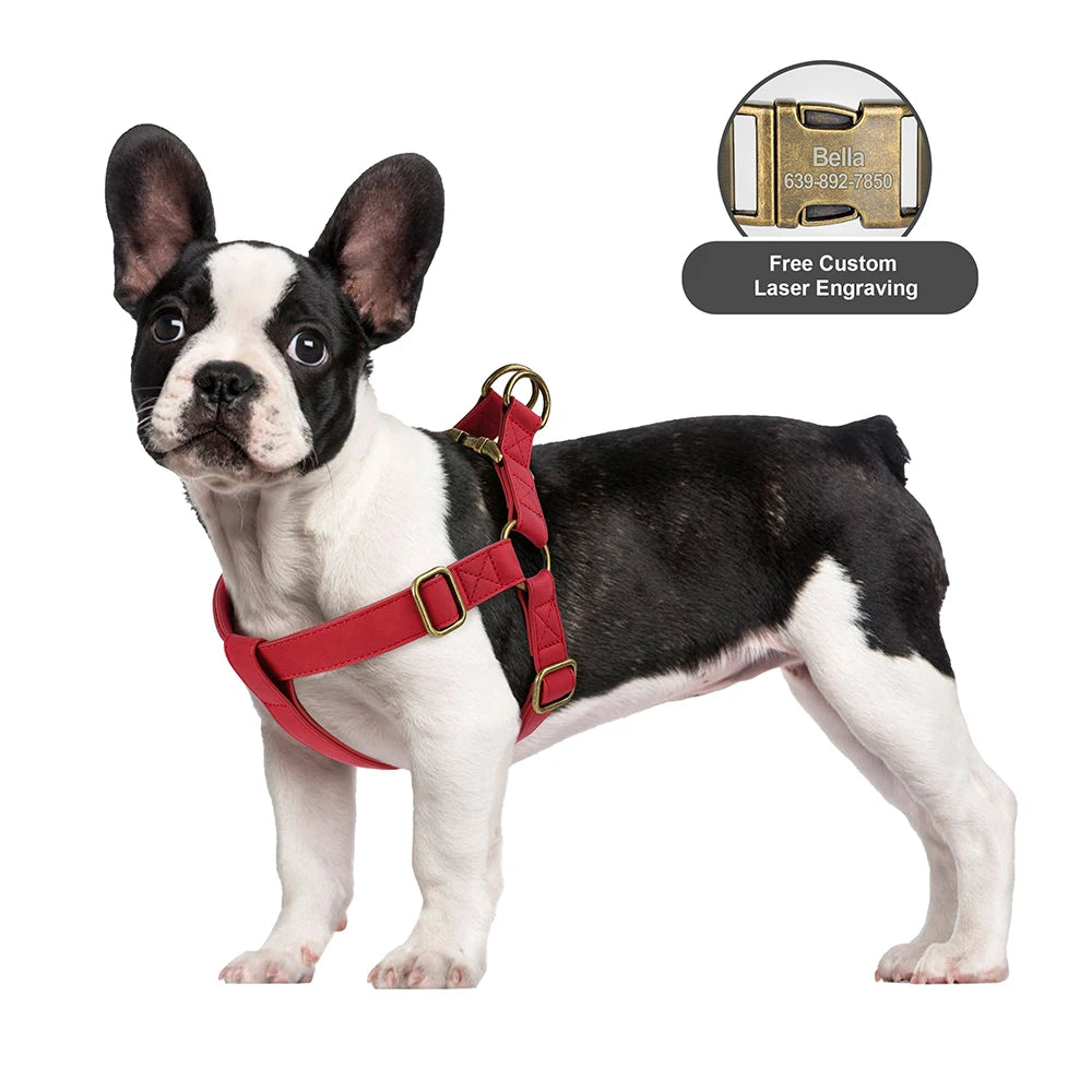 SleepyTail™ No-Pull Harness