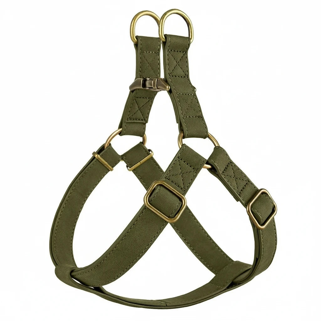 Luxury leather dog harness with gold hardware on a white background