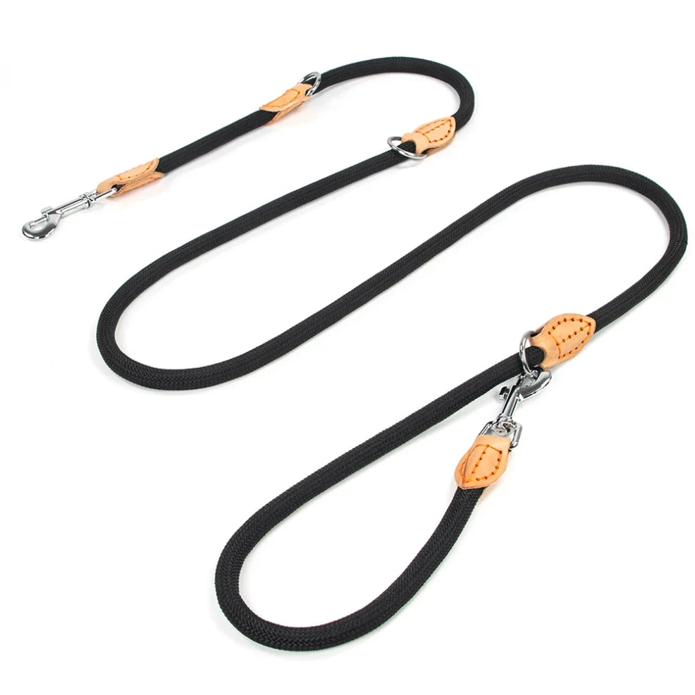Black dog leash with leather stitching on and a brass clasp